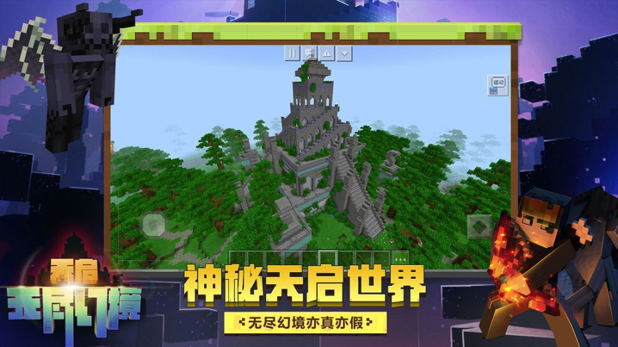 点击查看大图