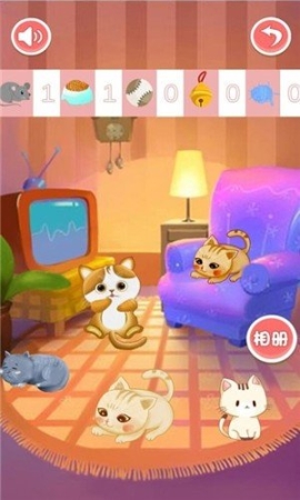 猫猫乐园