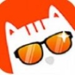才艺猫
