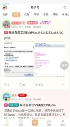 桔子岛图3