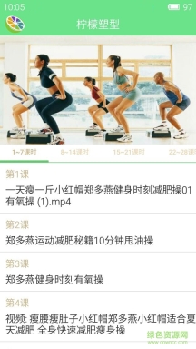柠檬塑型