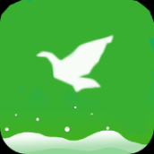 一个奇鸽船新体验