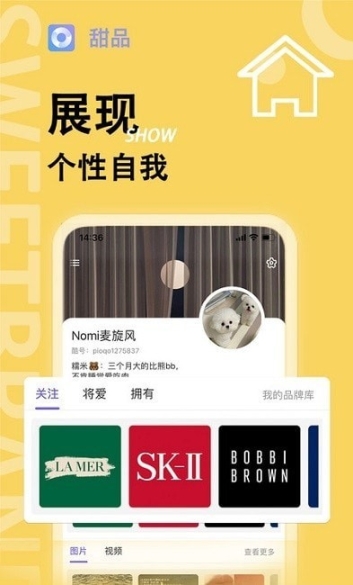 点击查看大图