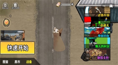 点击查看大图