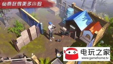点击查看大图