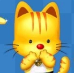 省钱猫