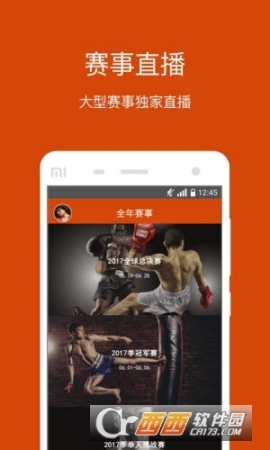 拳城出击