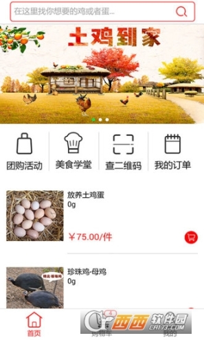 土鸡到家图1