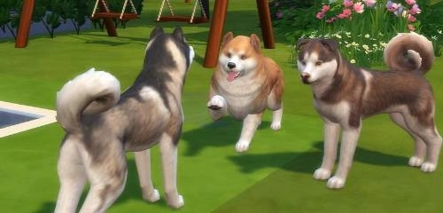 角色是狗子的游戏大全