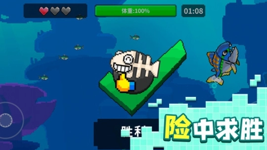 点击查看大图