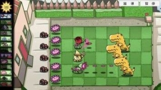点击查看大图