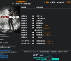 古墓丽影9修改器风灵月影版