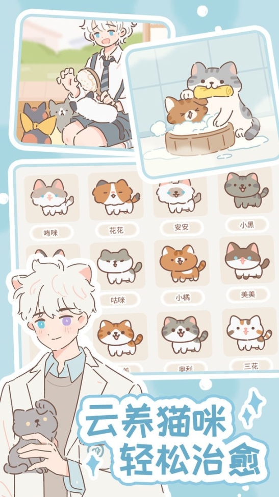 遇见你的猫正版