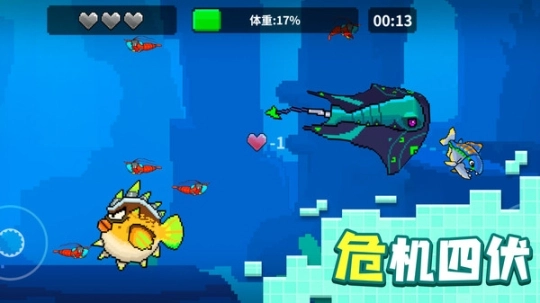 点击查看大图