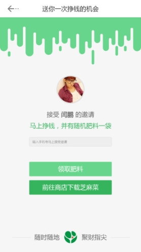 芝麻菜图1