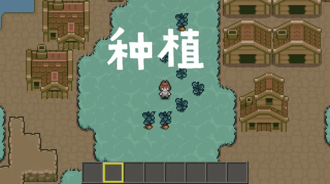 点击查看大图