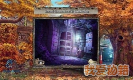 点击查看大图