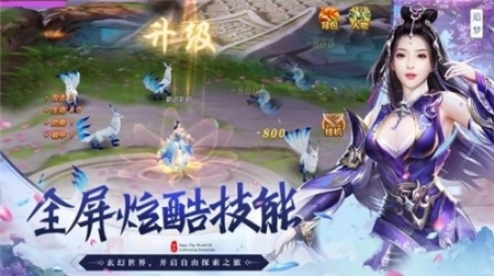 点击查看大图