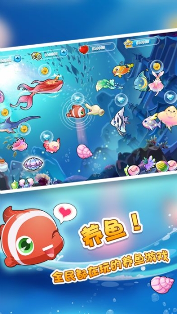 开心水族箱步图1
