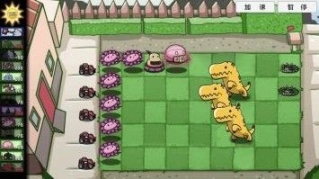 点击查看大图
