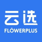 花加云选鲜花