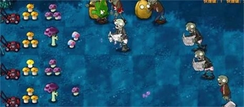 特殊好玩版本植物大战僵尸游戏合集