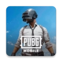 pubg国际服最新版