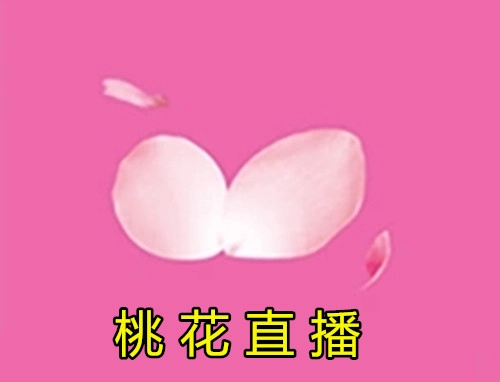 桃花直播