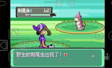 口袋妖怪漆黑的魅影