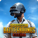 pubg mobile國際服