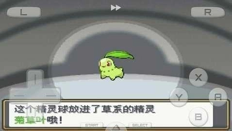 口袋妖怪心金魂银汉化版图2