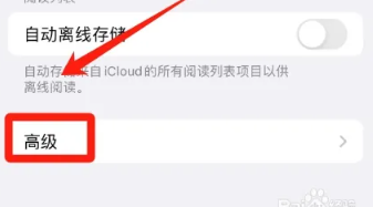 safari瀏覽器中文版