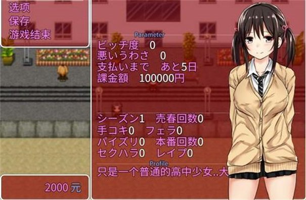 负债少女桃子移植直装版