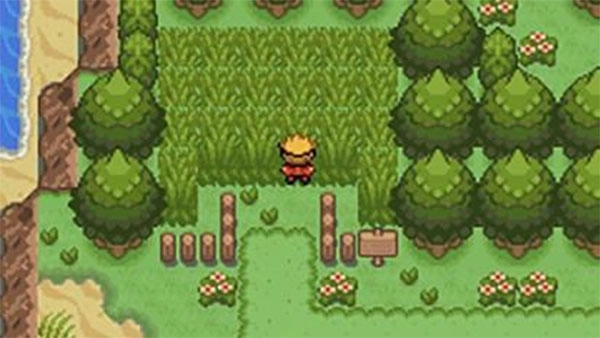 口袋妖怪釉色金手指版图3