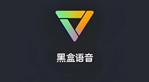 黑盒语音软件下载合集