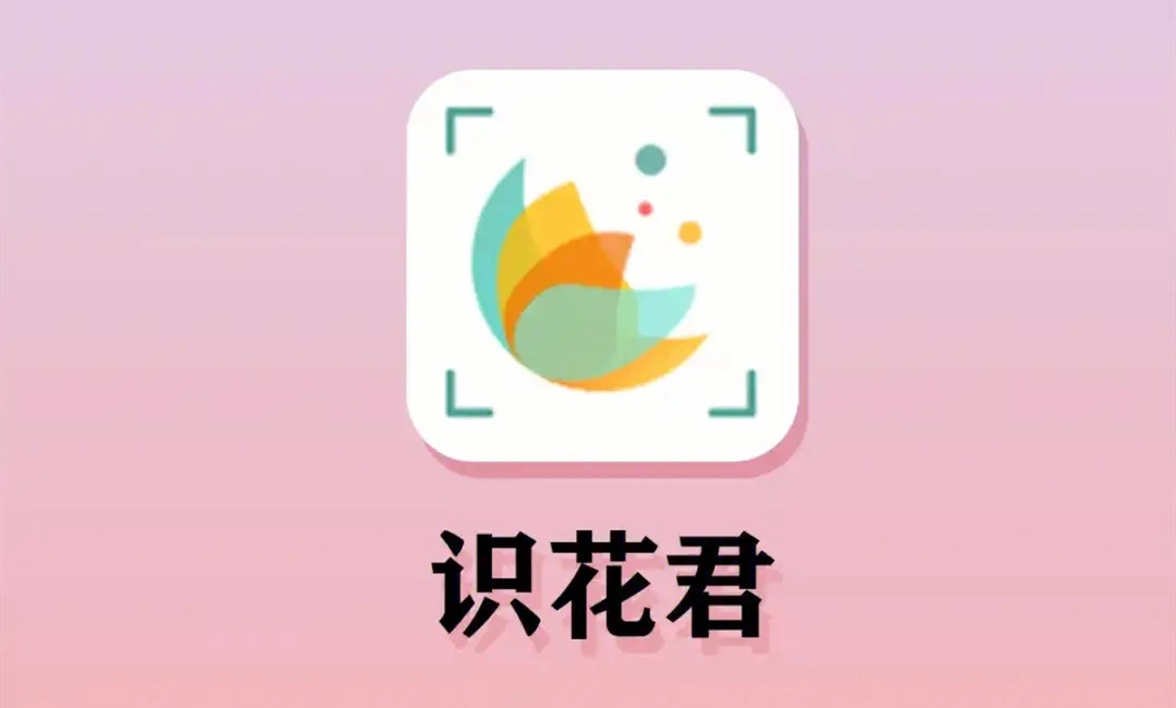 识花君