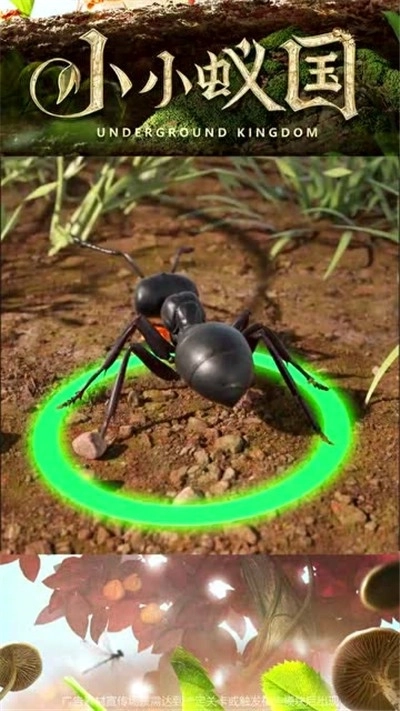 小小蚁国图2