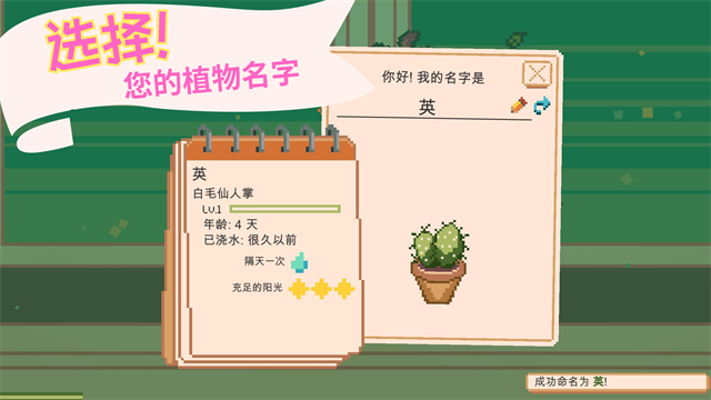 窗边花园截图0
