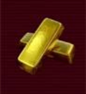 金磚弱網(禁止倒賣)最新款