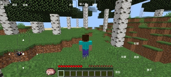 我的世界雾中人截图2