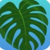 植物疗愈纽约时光中文版 v10
