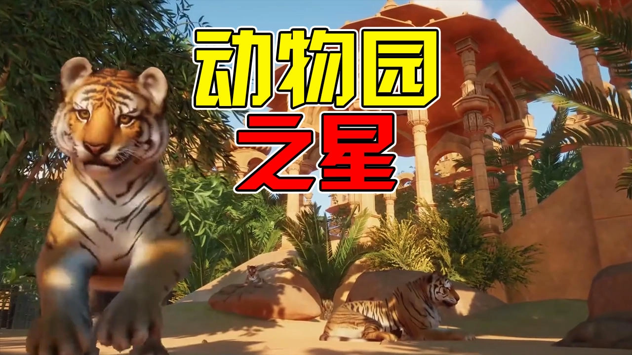 动物园之星版本合集