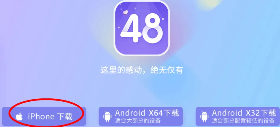 口袋48