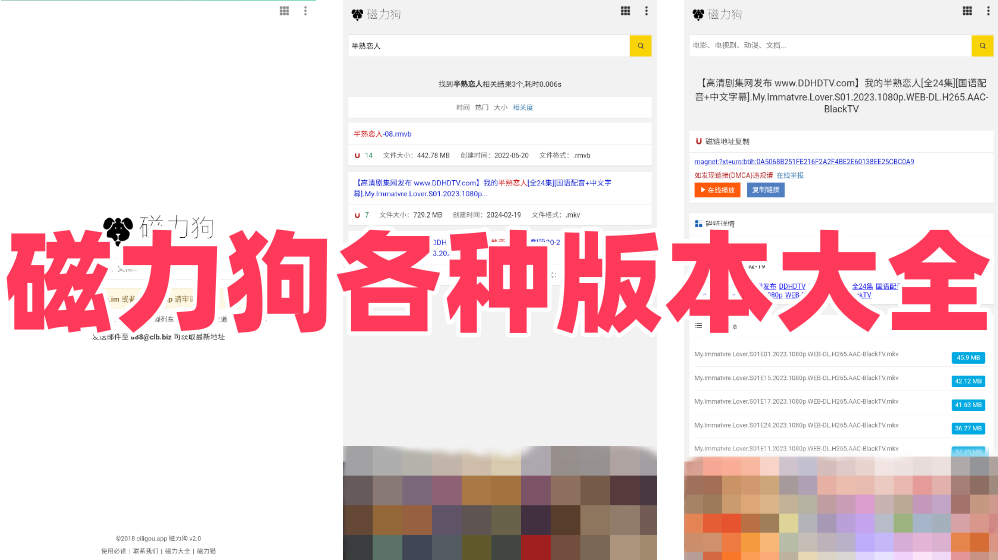 磁力狗各种版本大全