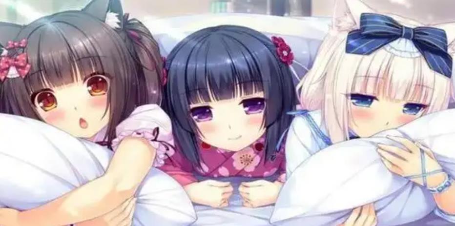 冷狐slg互动绅士游戏