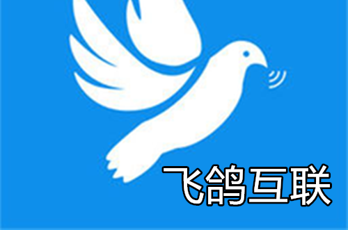飞鸽互联