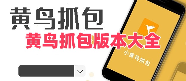 黄鸟抓包版本大全