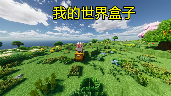 我的世界盒子