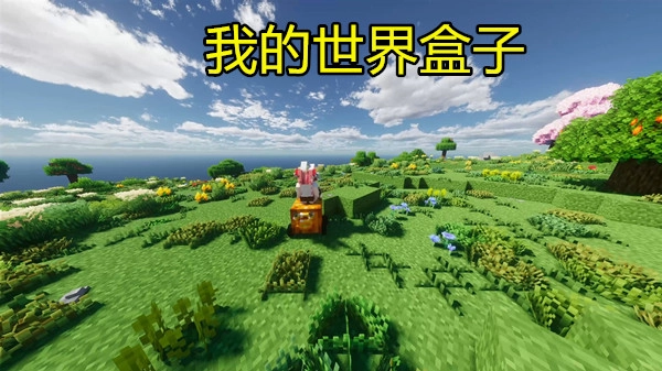 我的世界盒子