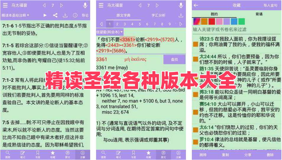 精读圣经各种版本大全